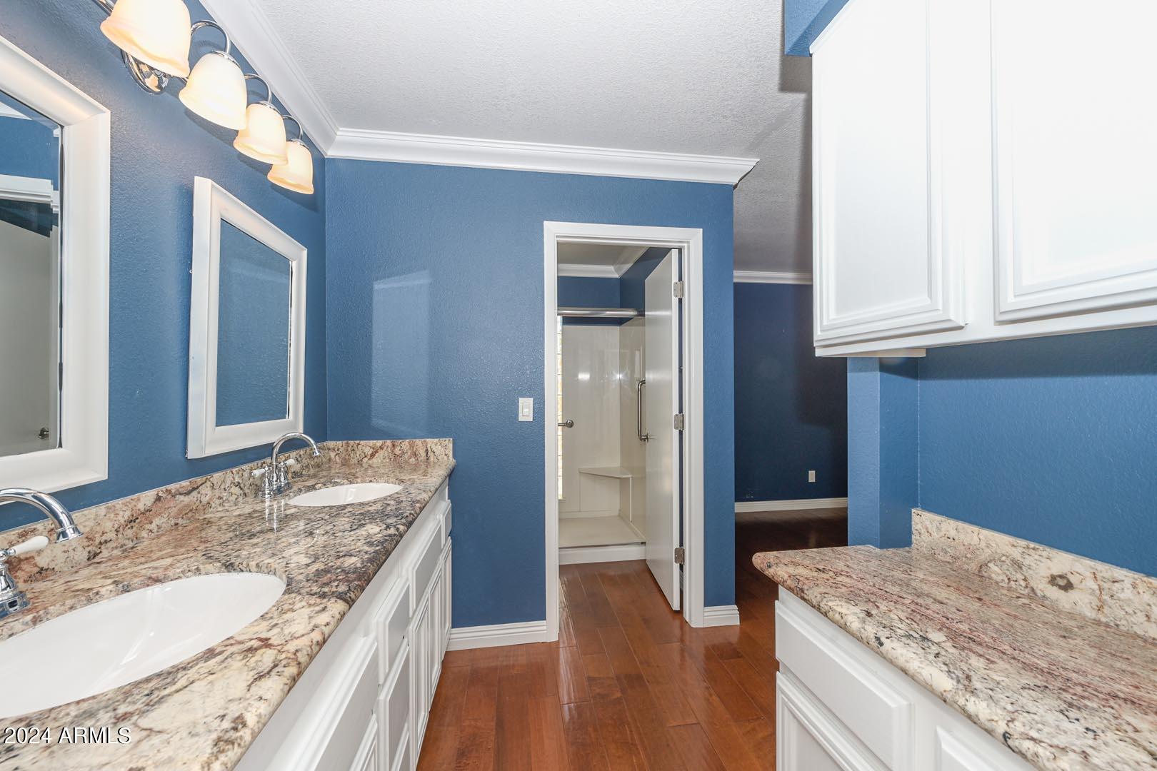 613 West Grandview Road Phoenix, AZ 85023 - Photo 3 of 47 Primary Bath2