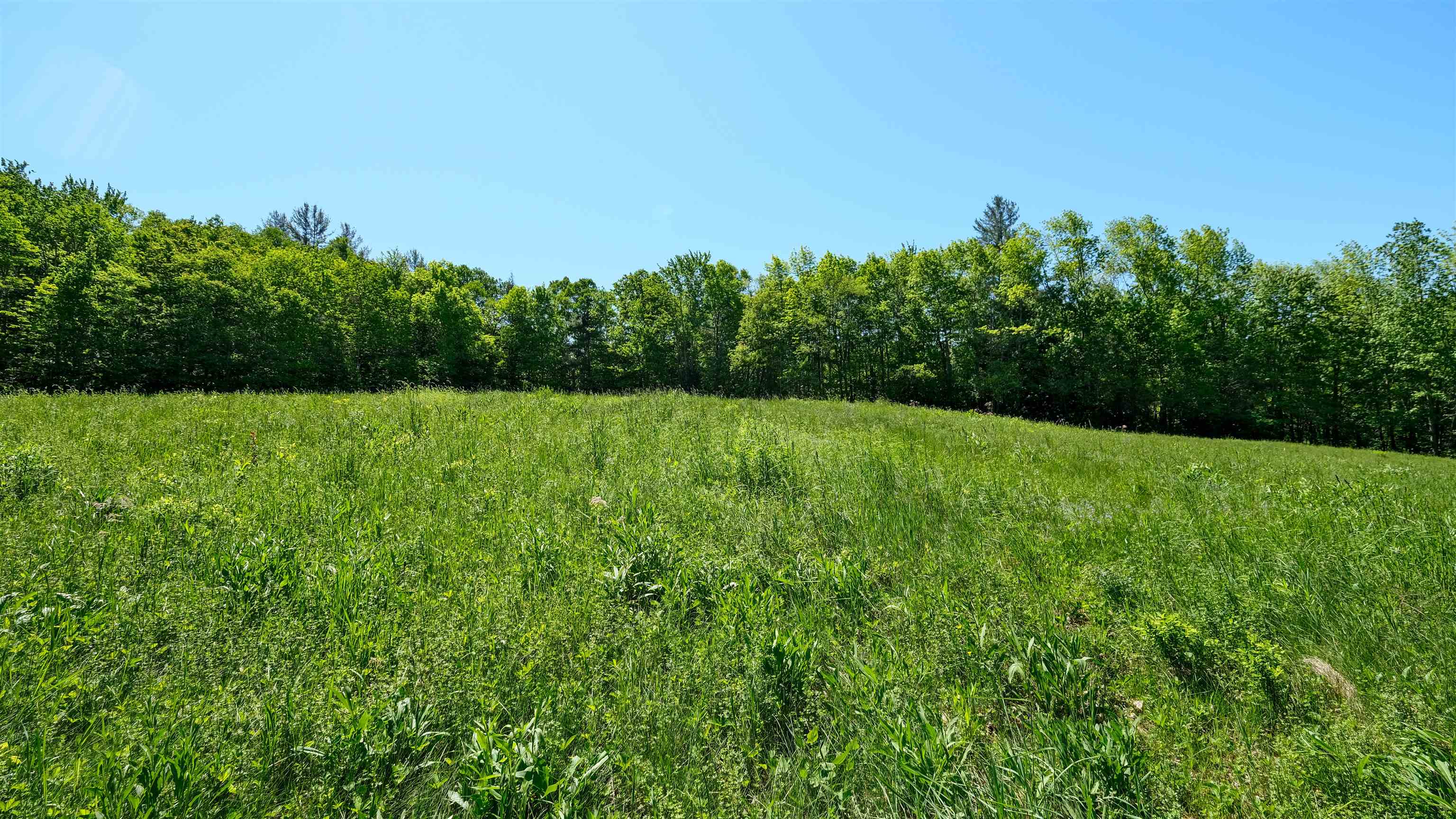 0 Rod And Gun Club Road, Unit 8 Ludlow, VT 05149 - Photo 11 of 27