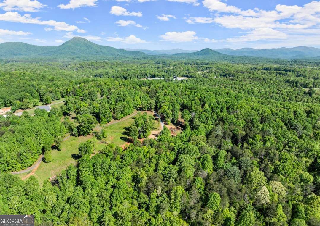 2239 Dean Mountain Road Cleveland, GA 30528 - Photo 6 of 55