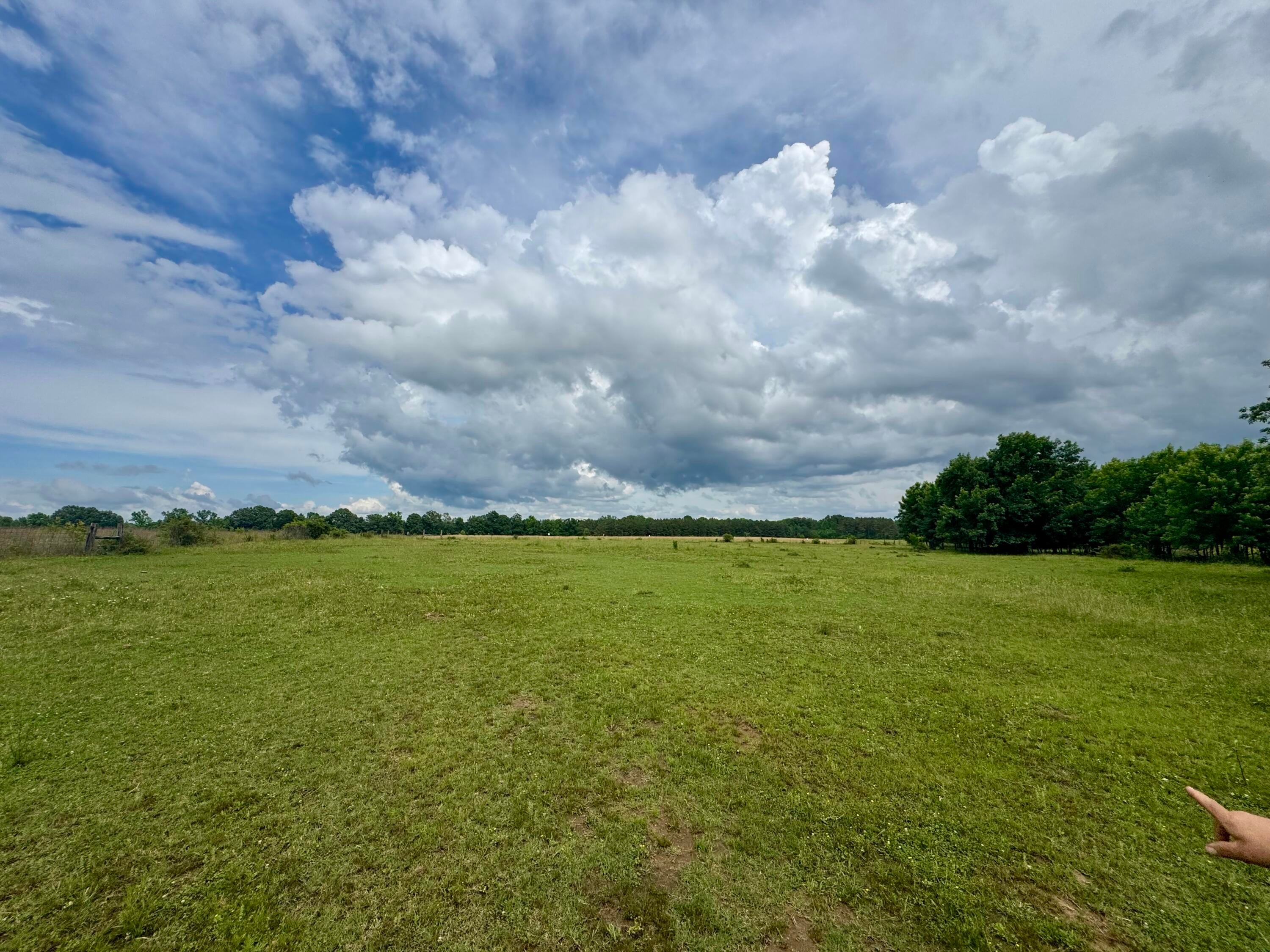 4547 Salmon Road Pontotoc, MS 38863 - Photo 41 of 61 image00017