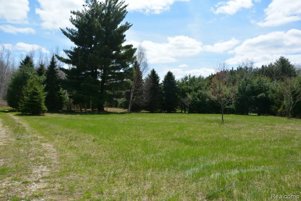 1680 Ambrose Road Mayville, MI 48744 - Photo 24 of 35 DSC_4195.jpg