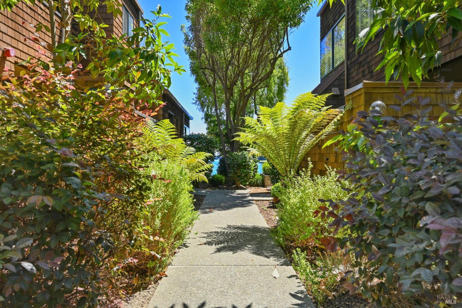 24 Lagoon Vista Road Tiburon, CA 94920 - Photo 4 of 56