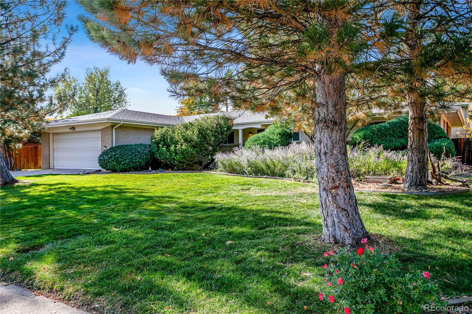 3155 Wright Street Wheat Ridge, CO 80215 - Photo 3 of 29 Gallery Image 3