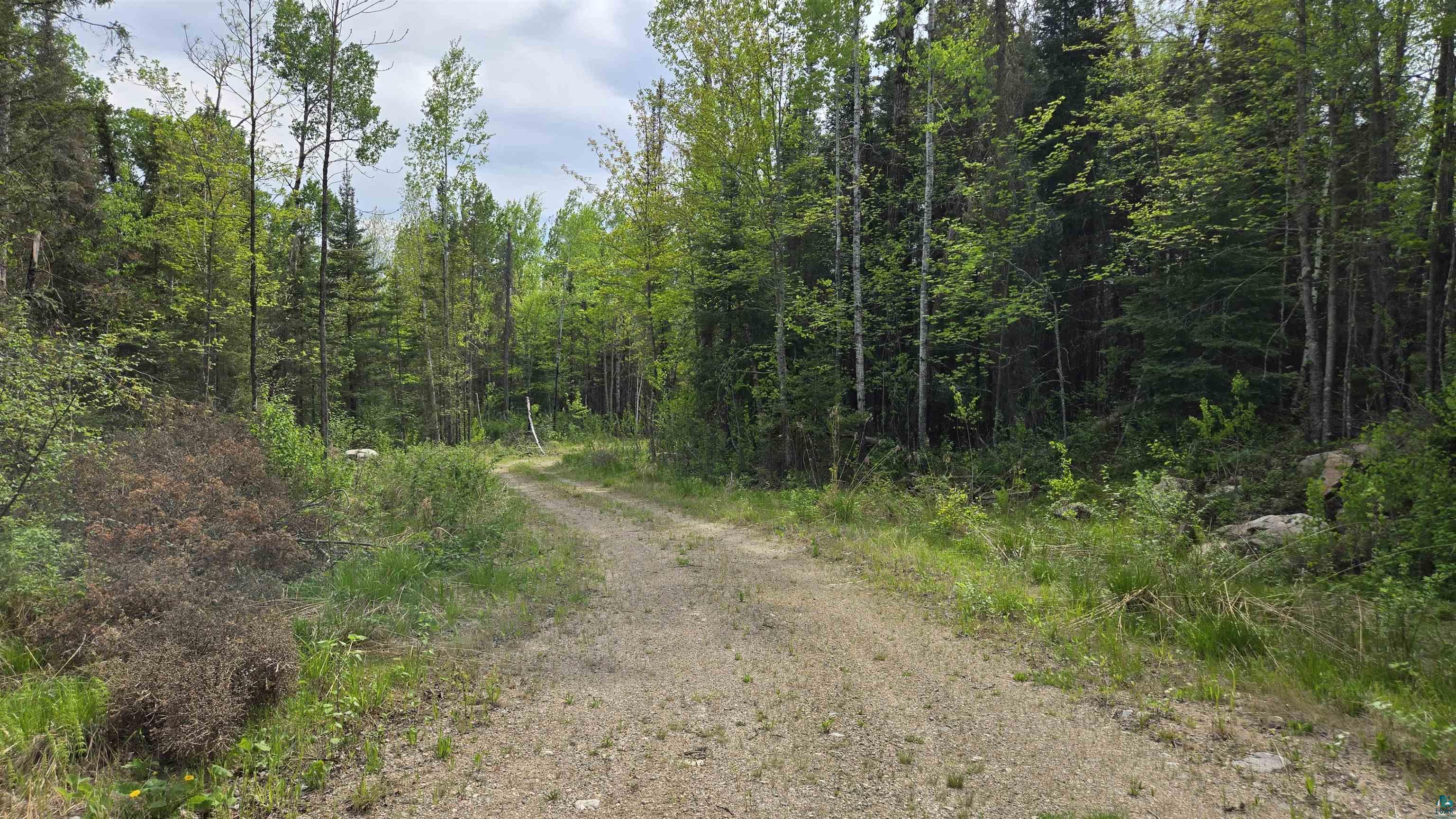 7316 Crane Lake Road Crane Lake, MN 55725 - Photo 19 of 21
