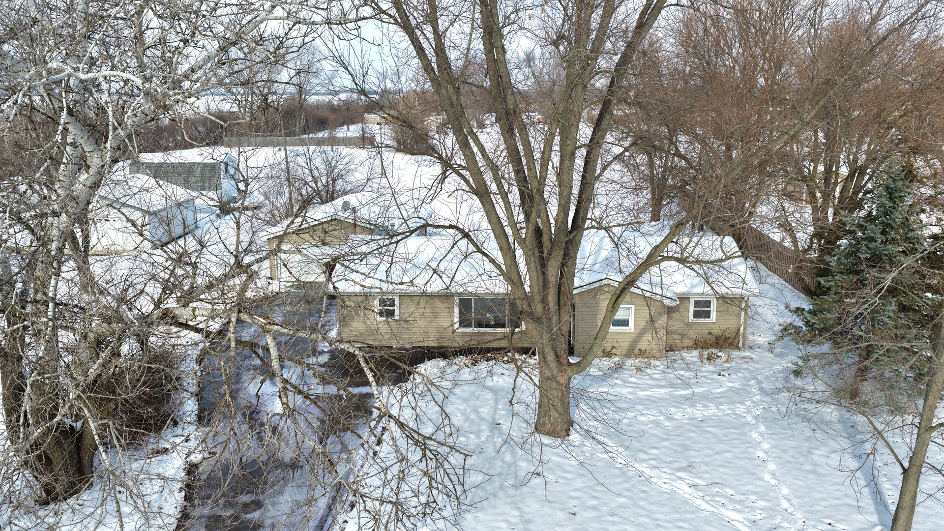 946 West Arlington Lane Crete, IL 60417 - Photo 27 of 27 a large tree in front of a house
