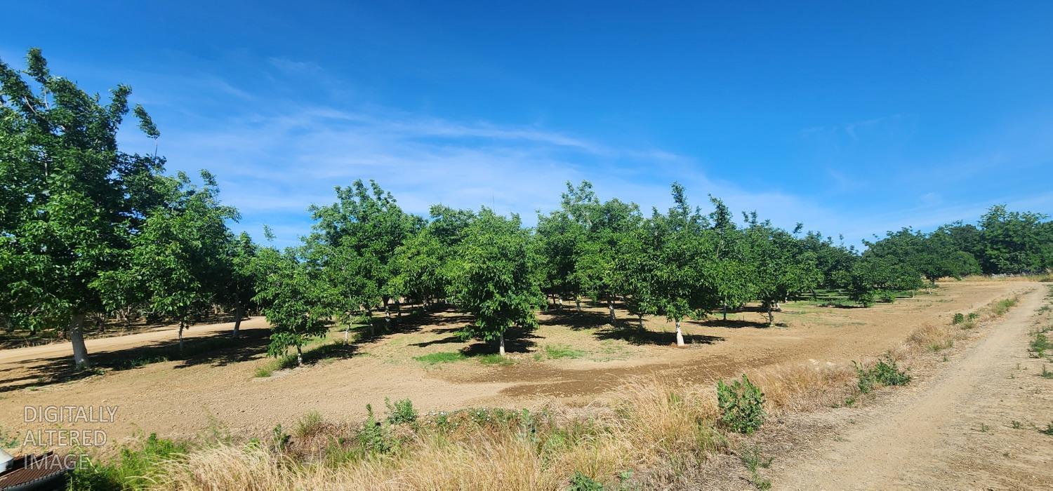0 George Road Williams, CA 95987 - Photo 7 of 13 a view of a park with large trees