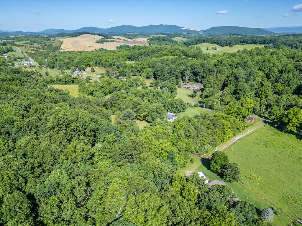 1199 Sanders Mines Road Max Meadows, VA 24360 - Photo 11 of 21 a view of a lush green forest with trees in the background
