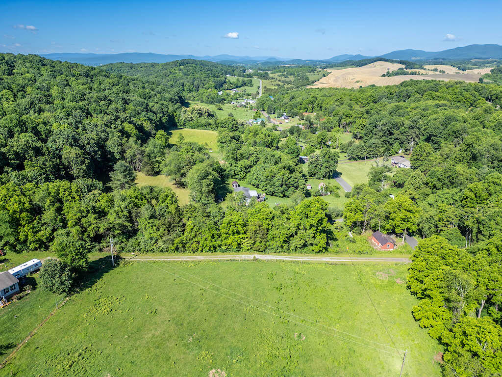 1199 Sanders Mines Road Max Meadows, VA 24360 - Photo 12 of 21 a view of a garden