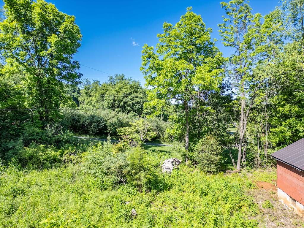 1199 Sanders Mines Road Max Meadows, VA 24360 - Photo 15 of 21 a view of a garden