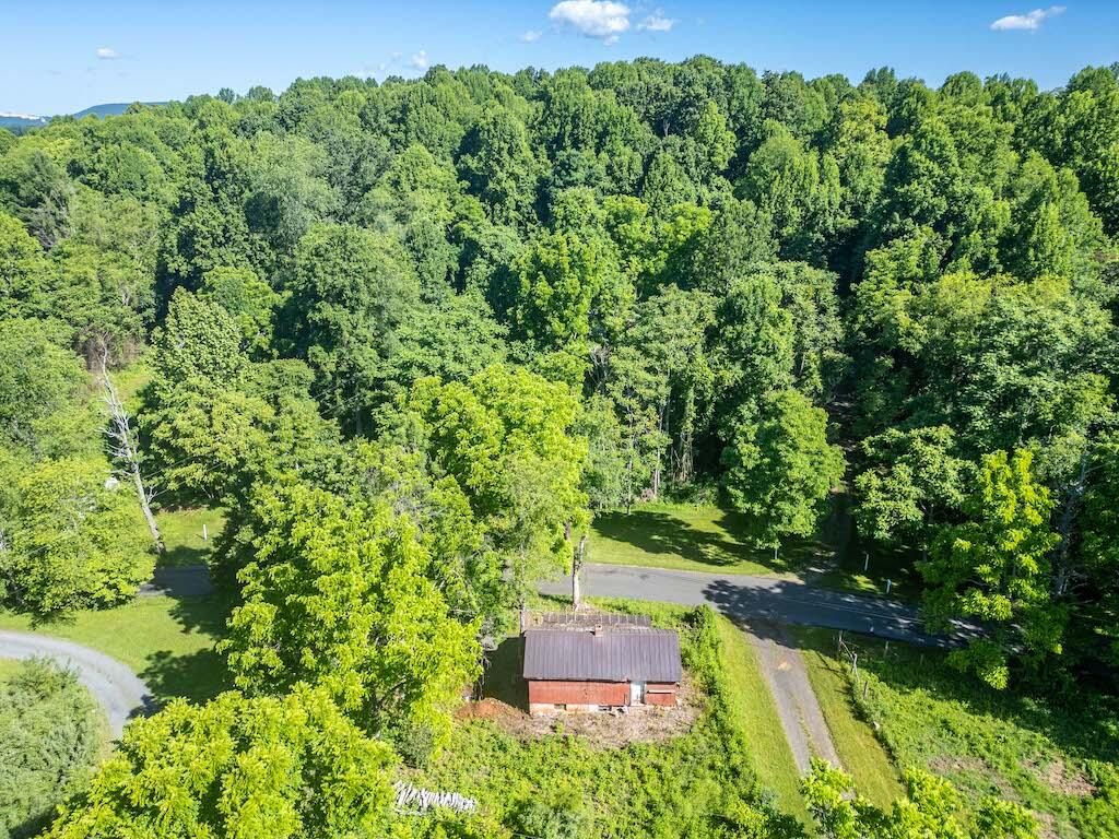 1199 Sanders Mines Road Max Meadows, VA 24360 - Photo 7 of 21 an aerial view of a house with a yard