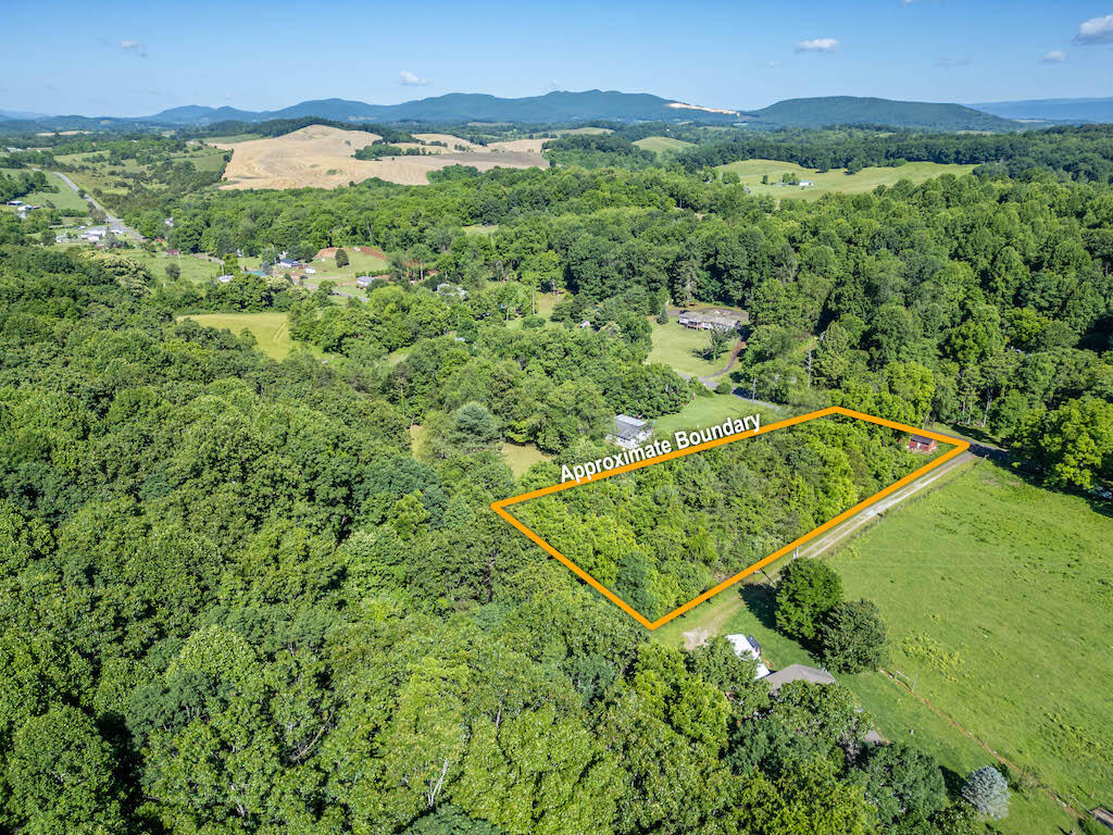 1199 Sanders Mines Road Max Meadows, VA 24360 - Photo 10 of 21 an aerial view of a residential houses with a lush green forest