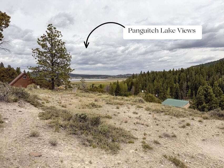 69 Forest Garden Hatch, UT 84735 - Photo 2 of 20 Lot 69 Forest Garden
