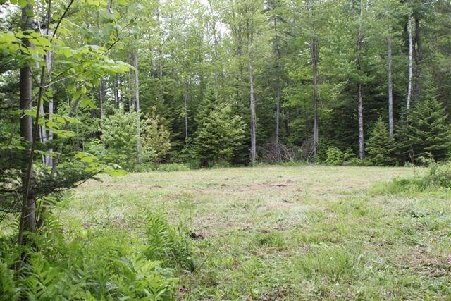 806 Williams Road Newport, ME 04953 - Photo 3 of 6 Photo