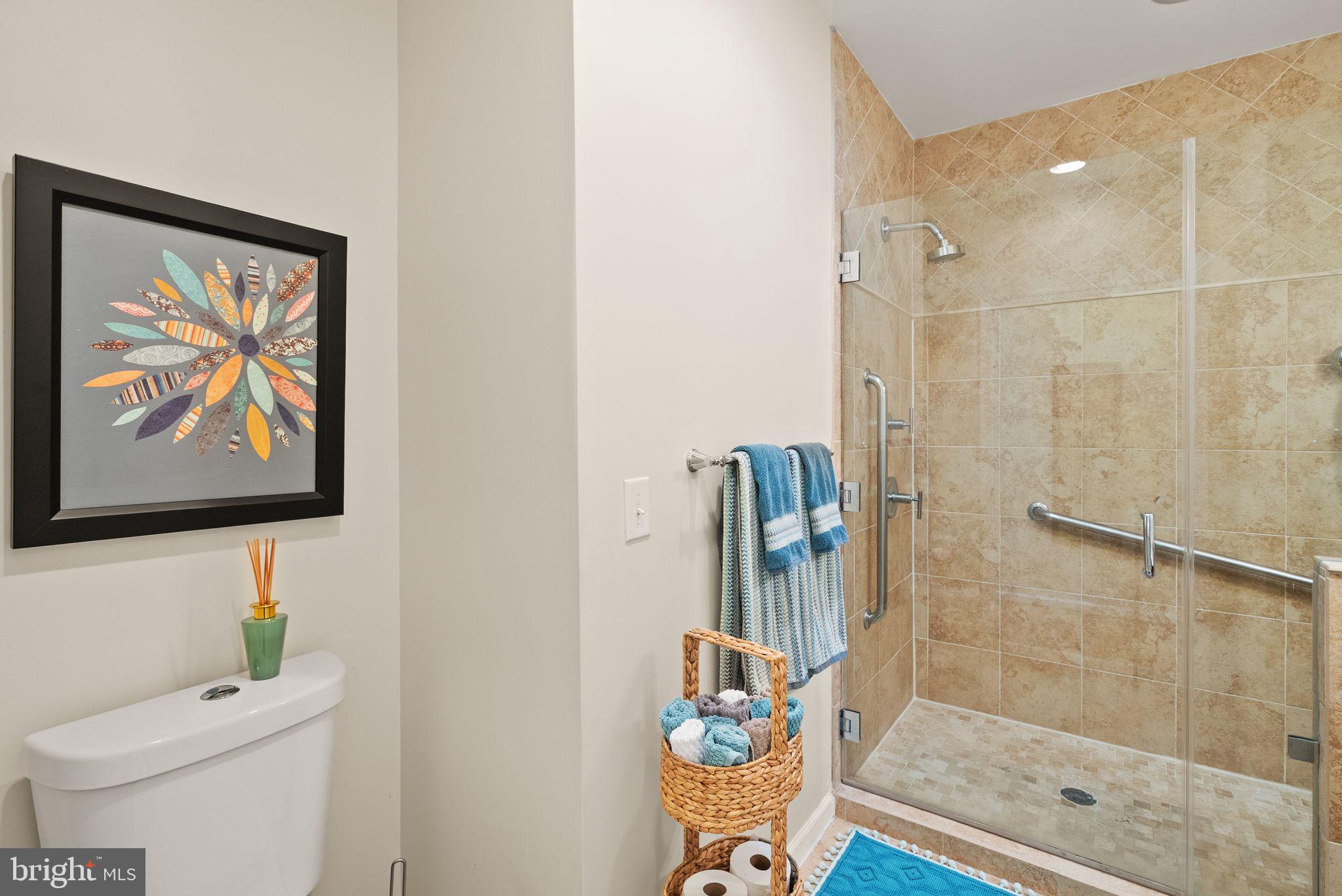 813 Lunenburg Road Great Falls, VA 22066 - Photo 41 of 91