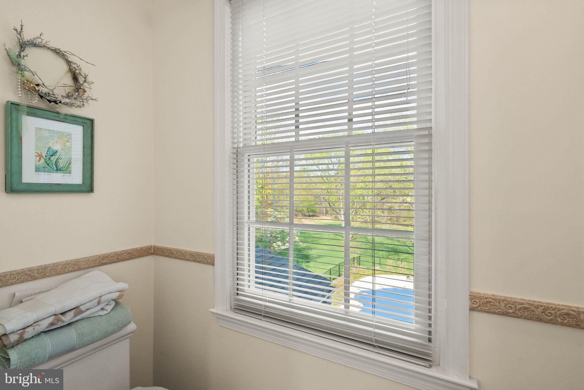 813 Lunenburg Road Great Falls, VA 22066 - Photo 54 of 91