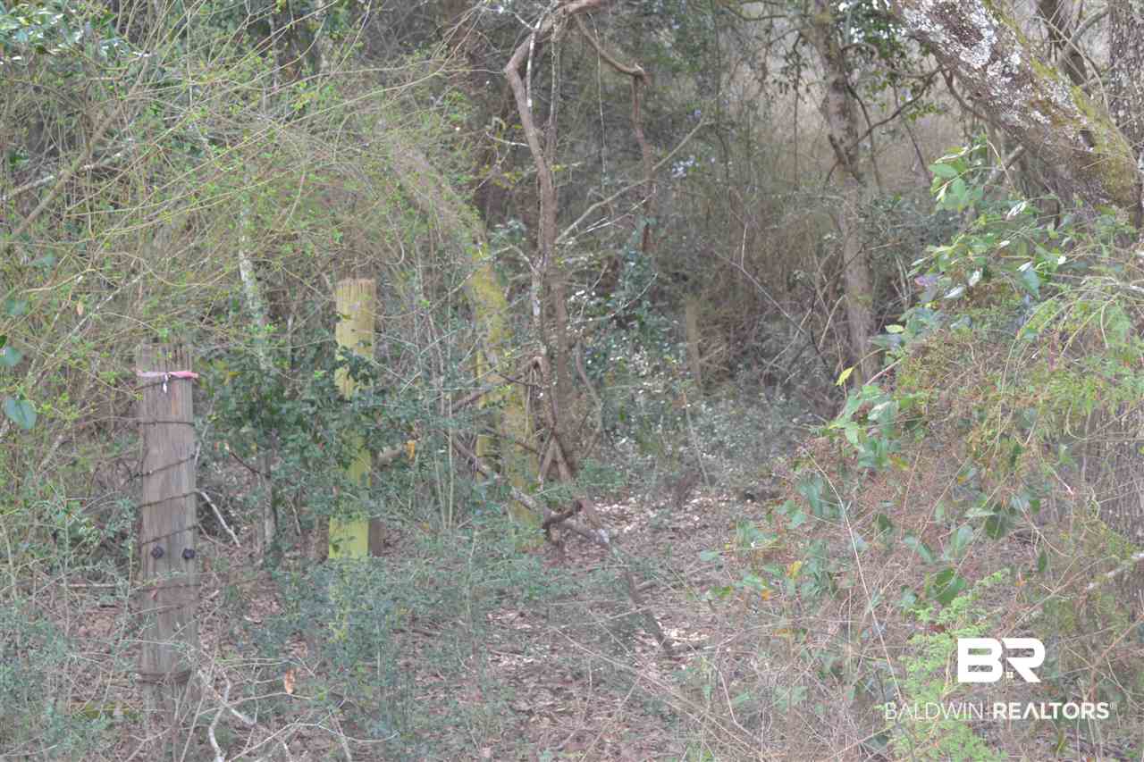 0 Mohr Lane Elberta, AL 36530 - Photo 12 of 15