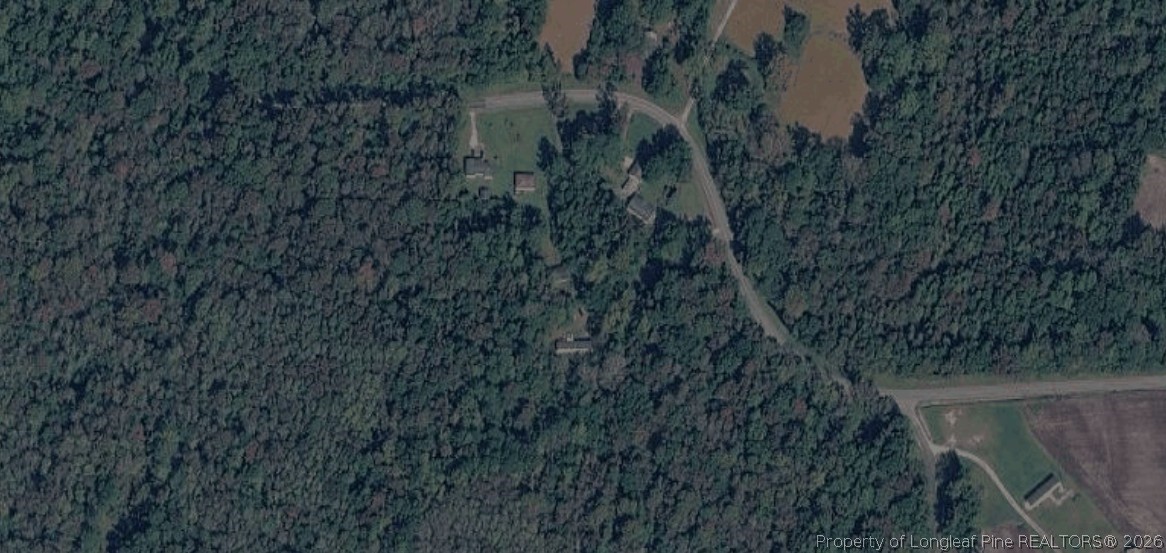 1544 Hls Nck Road Ernul, NC 28527 - Photo 1 of 1 a view of a forest with a lake
