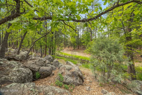 $199,999 | 1358 Big Springs Trail, Lakeside, AZ 85929