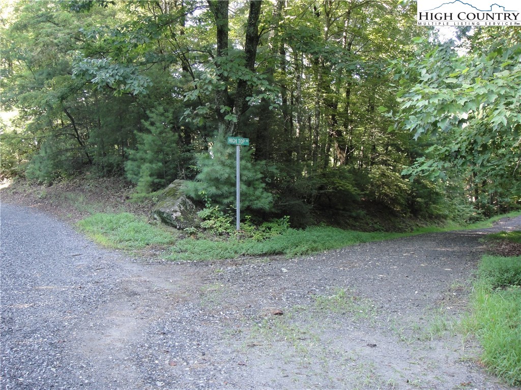 Lot 126 Buck Mountain Road Purlear, NC 28665 - Photo 3 of 24 Gallery Image 3