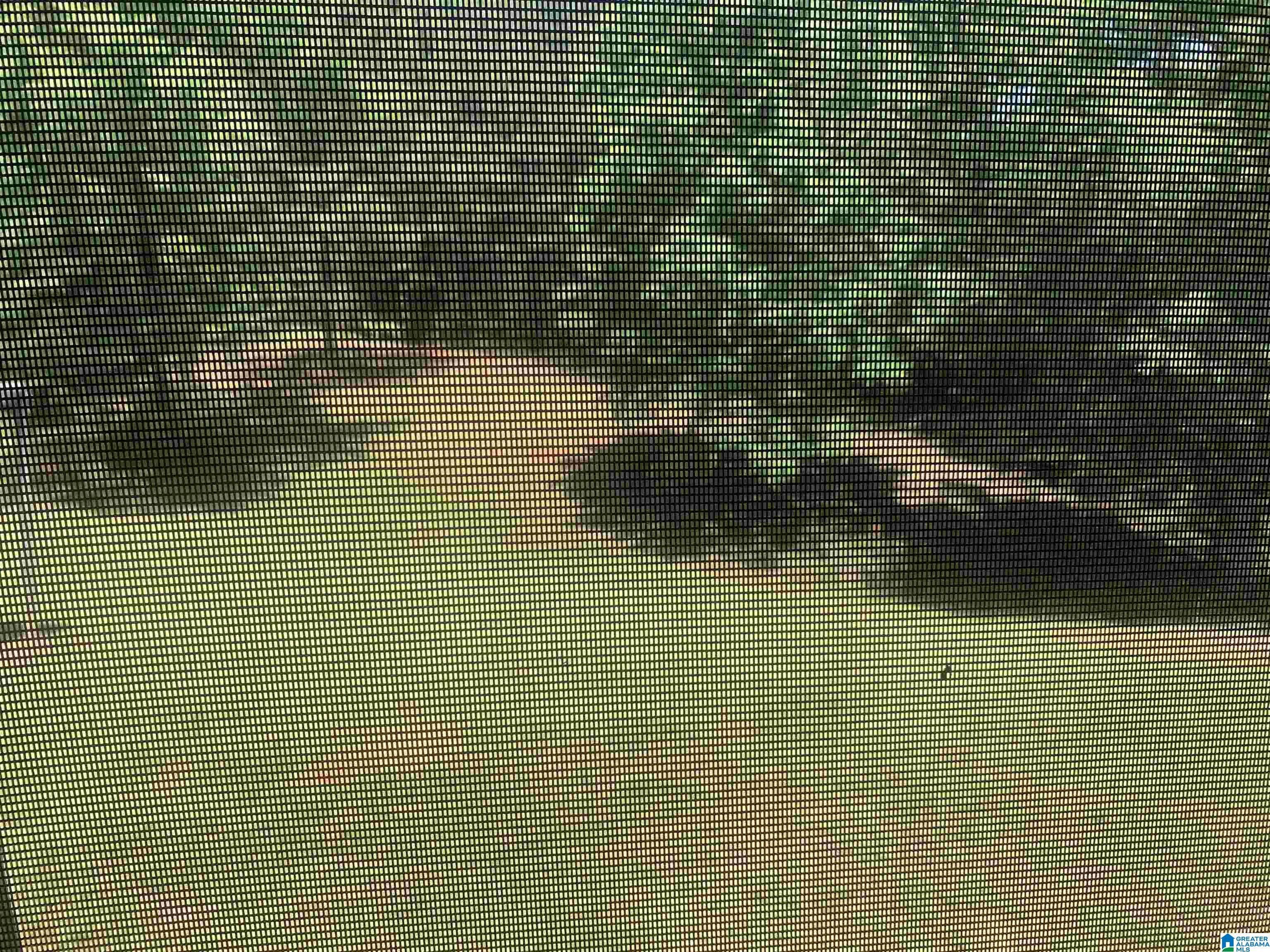 1161 Old Patton Ferry Road Adger, AL 35006 - Photo 28 of 46