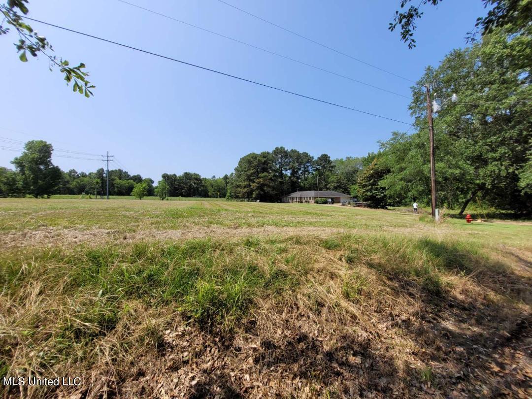 314 Trunnell Road Ridgeland, MS 39157 - Photo 11 of 11 acreage