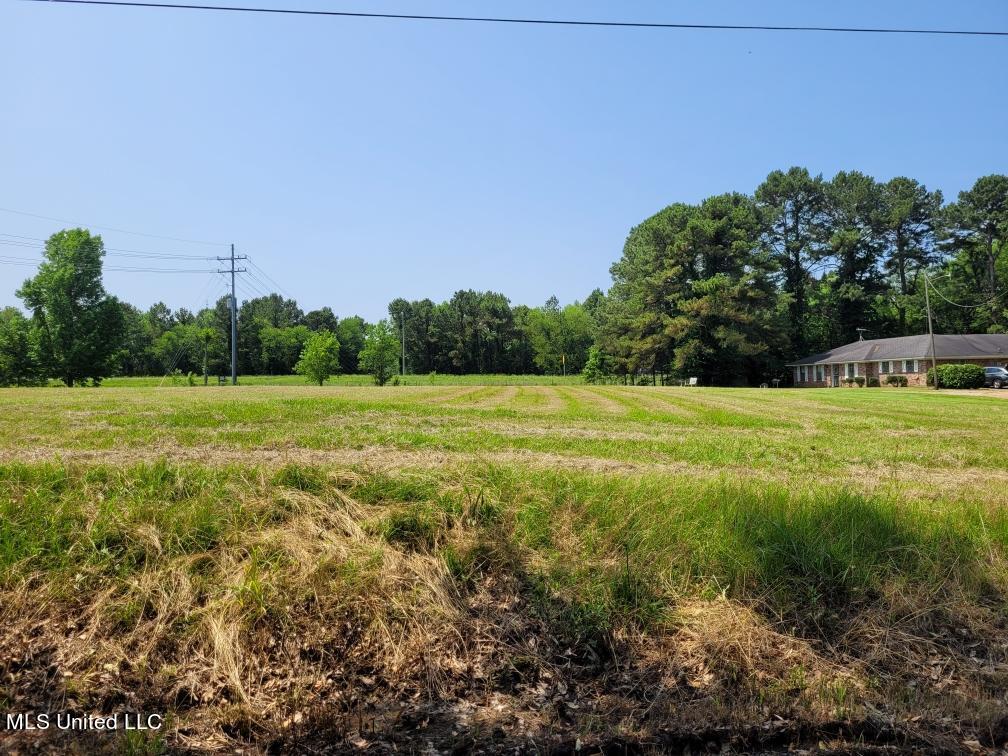 314 Trunnell Road Ridgeland, MS 39157 - Photo 3 of 11 Acres