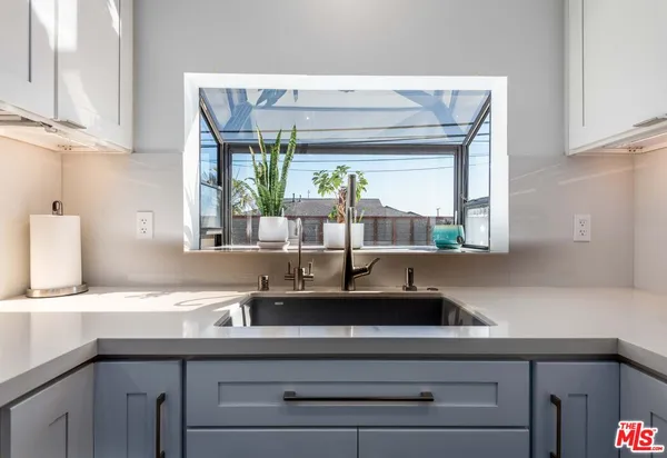 a kitchen with a sink and a potted plant