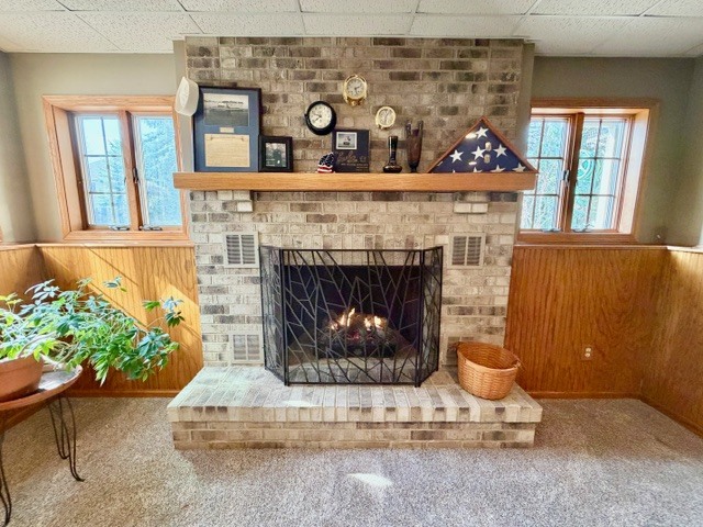 1325 Foxpointe Drive Sycamore, IL 60178 - Photo 32 of 55 a living room with a fireplace and a potted plant