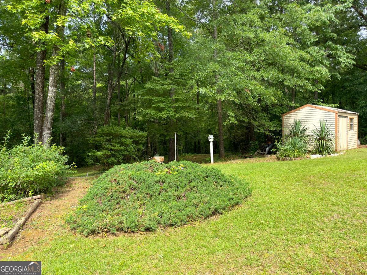 240 Riverview Road Jackson, GA 30233 - Photo 57 of 79 a backyard of a house with lots of green space