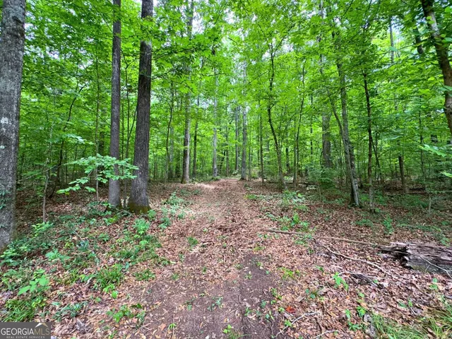 $600,000 | 240 Riverview Road, Jackson, GA 30233