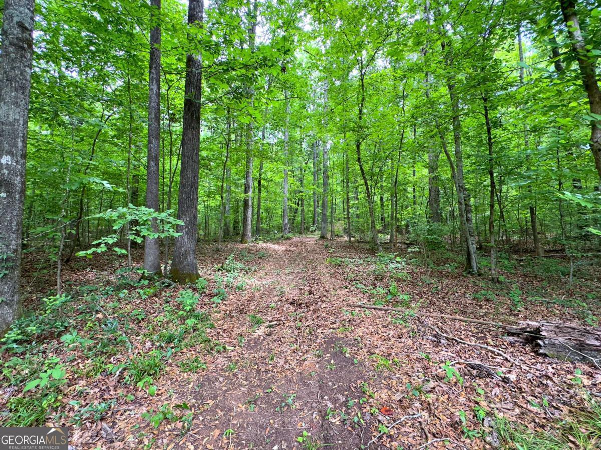 240 Riverview Road Jackson, GA 30233 - Photo 63 of 79 a view of outdoor space and green space