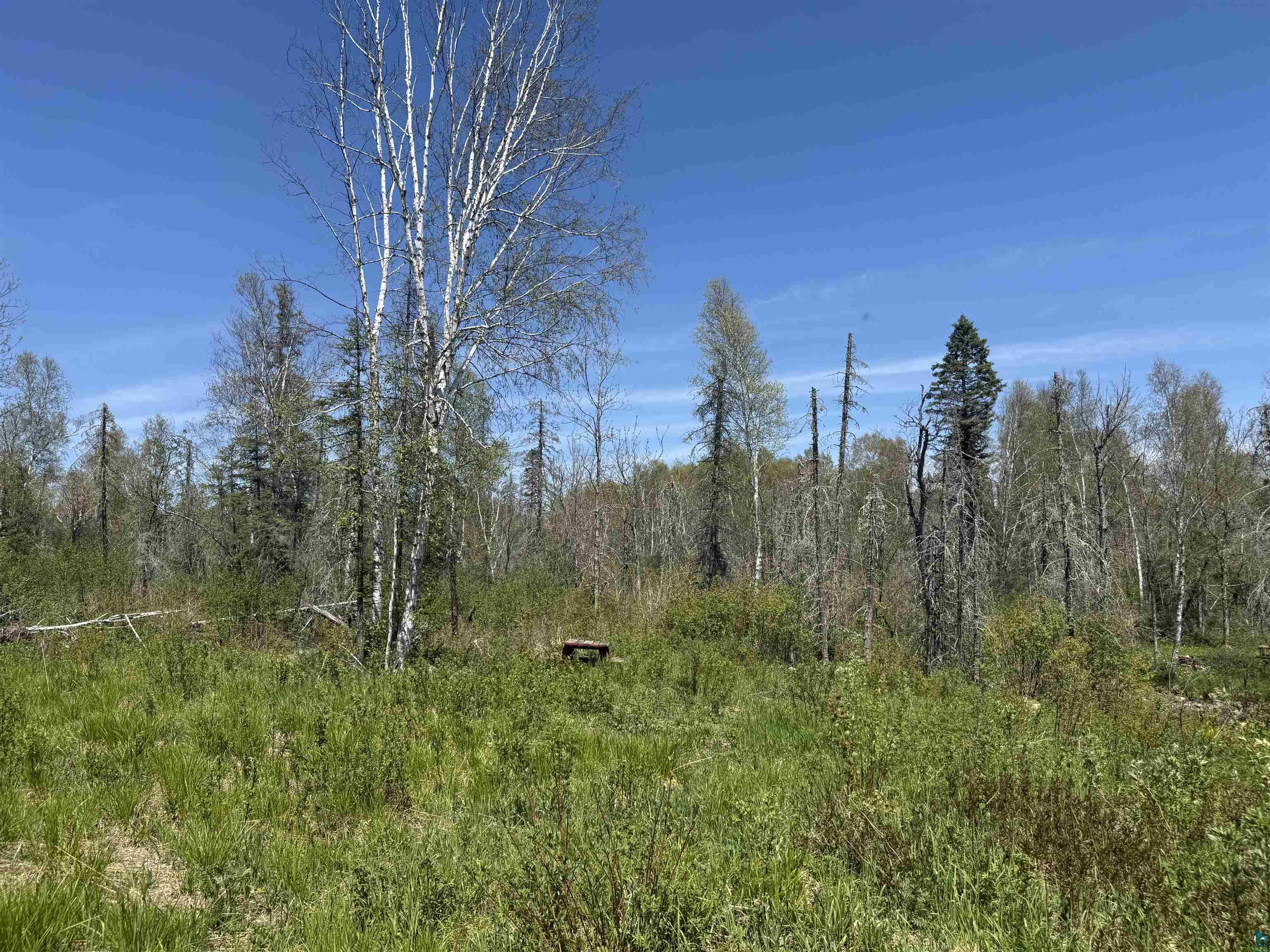Tbd Crown Creek Road Finland, MN 55603 - Photo 6 of 14