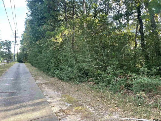 a view of swimming pool with a yard and plants