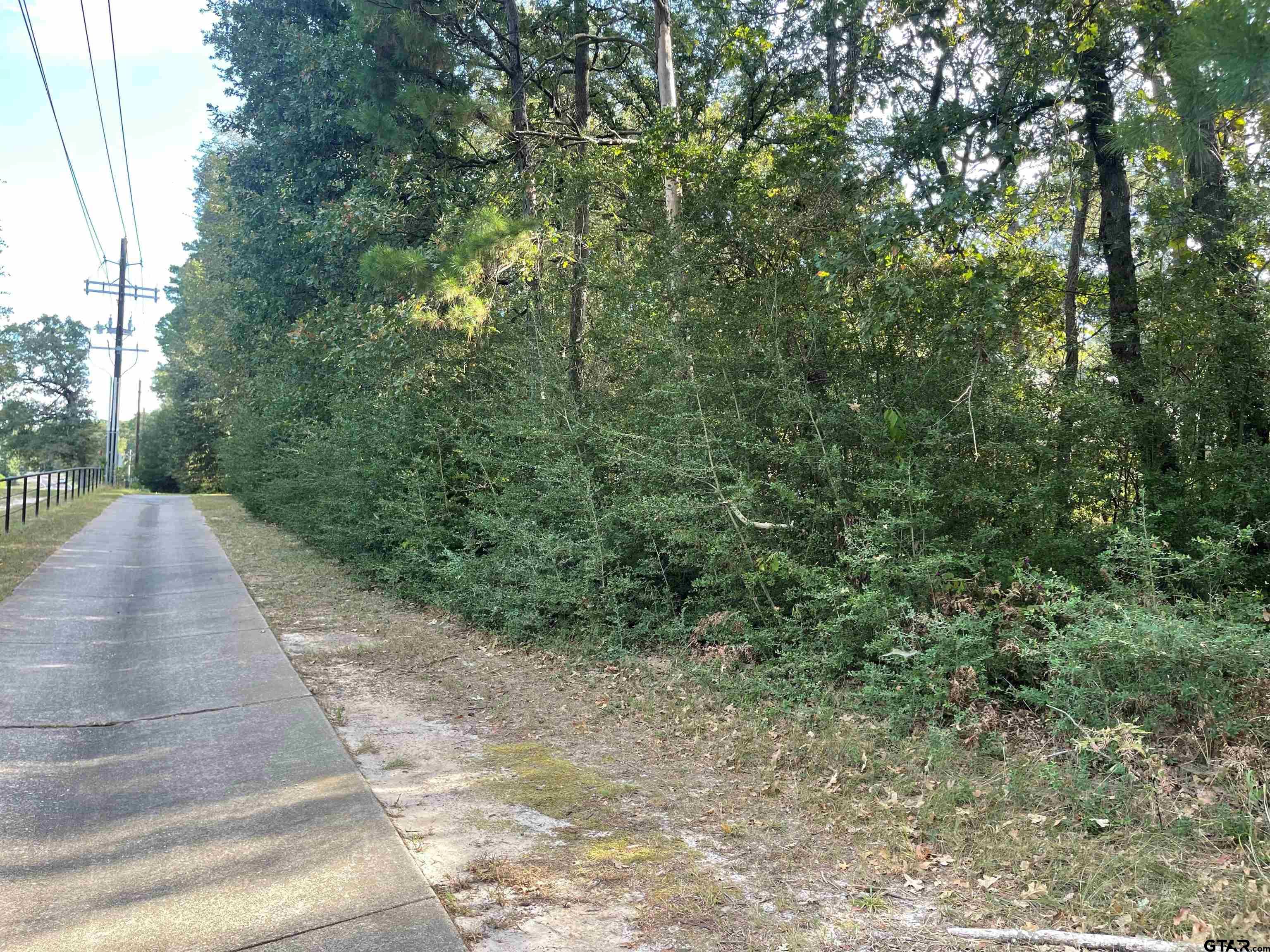 246 Spring Lake Knoll Trail Holly Lake Ranch, TX 75765 - Photo 11 of 14