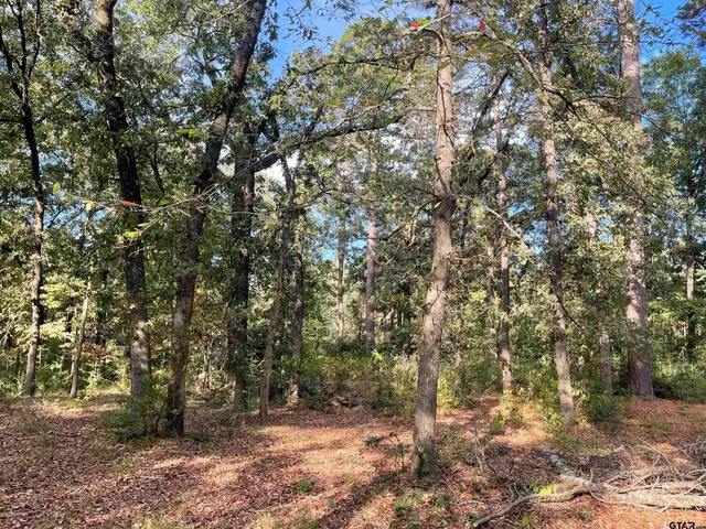 a view of outdoor space and tree