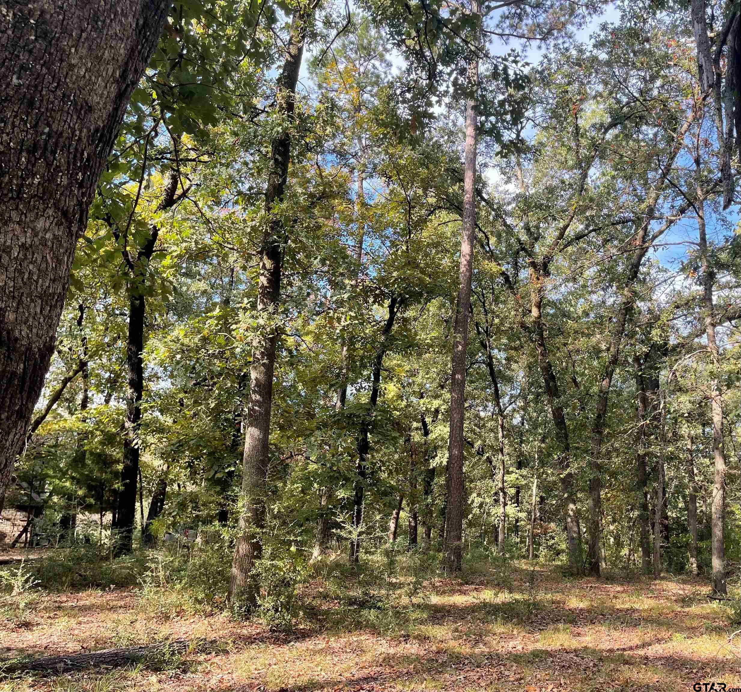 246 Spring Lake Knoll Trail Holly Lake Ranch, TX 75765 - Photo 7 of 14