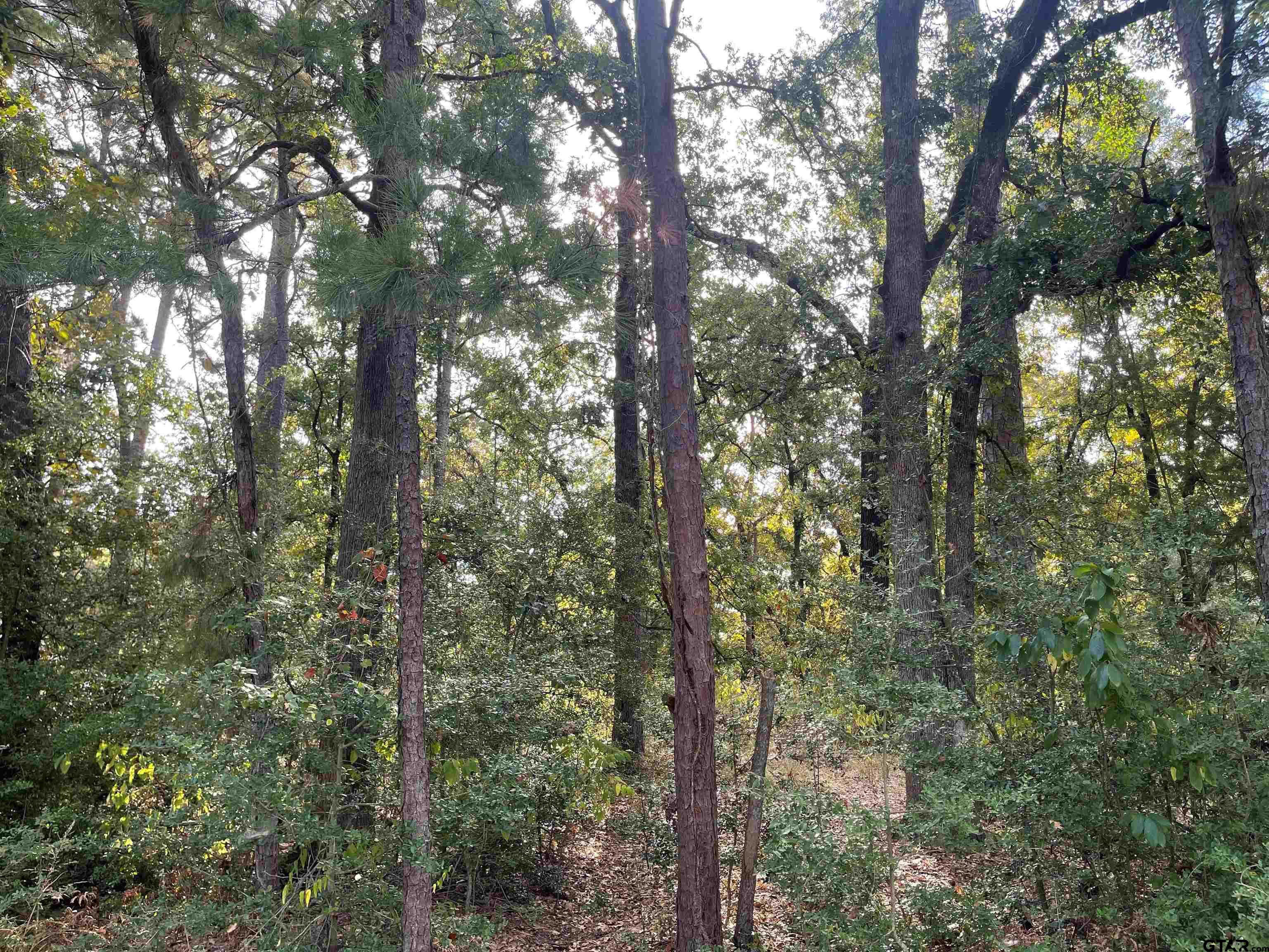 246 Spring Lake Knoll Trail Holly Lake Ranch, TX 75765 - Photo 8 of 14