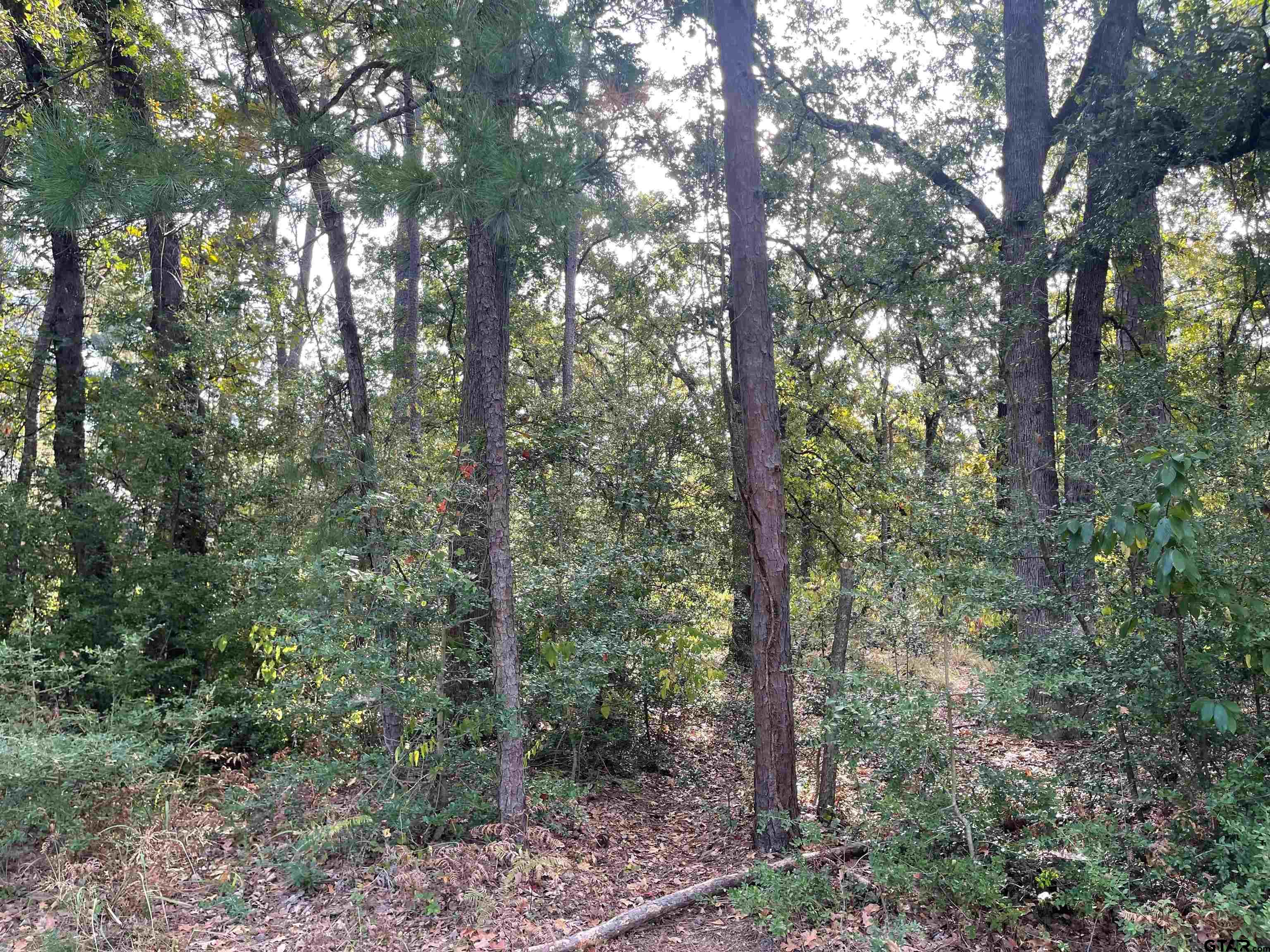 246 Spring Lake Knoll Trail Holly Lake Ranch, TX 75765 - Photo 9 of 14