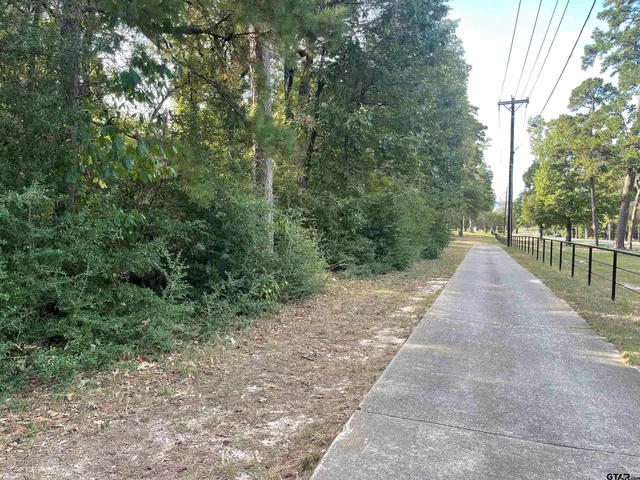 a view of a yard with plants and large trees