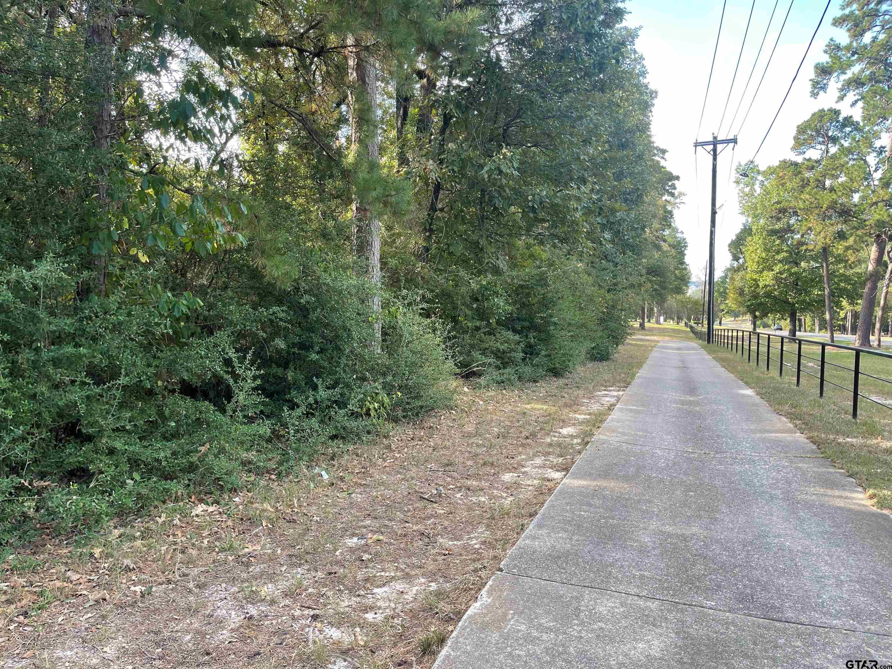 246 Spring Lake Knoll Trail Holly Lake Ranch, TX 75765 - Photo 10 of 14