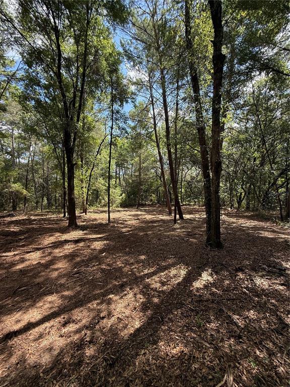 516 Shappell Avenue Interlachen, FL 32148 - Photo 3 of 5 a view of outdoor space with green space