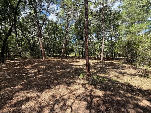 a view of outdoor space with trees