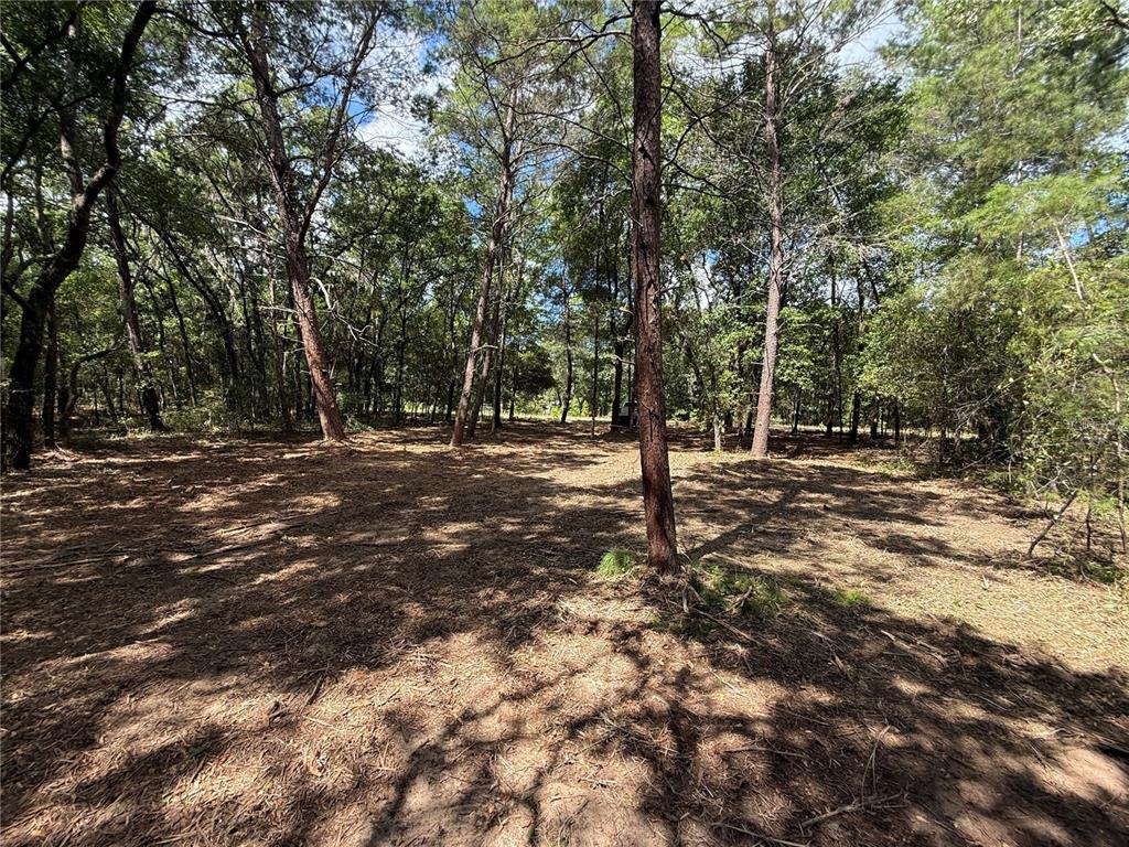 516 Shappell Avenue Interlachen, FL 32148 - Photo 4 of 5 a view of outdoor space with trees