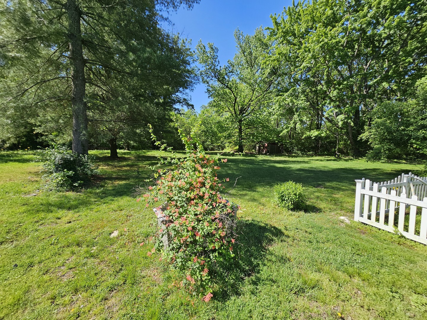 450 West Saddle Club Road Bonnie, IL 62816 - Photo 9 of 25