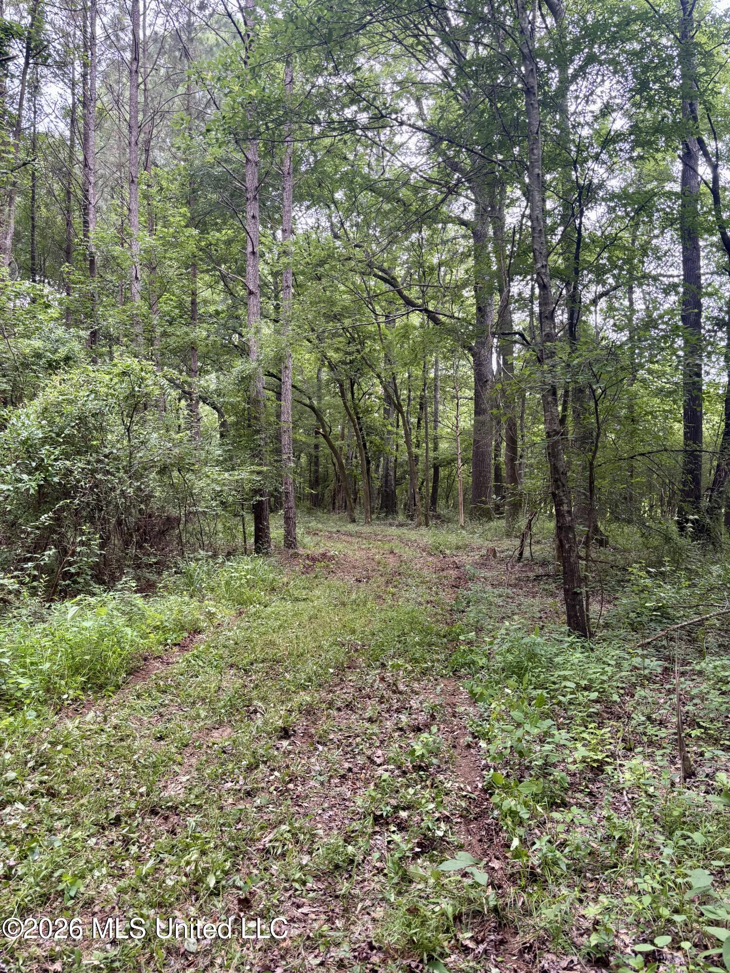 8119 Dry Grove Road Raymond, MS 39154 - Photo 18 of 45 IMG_4736