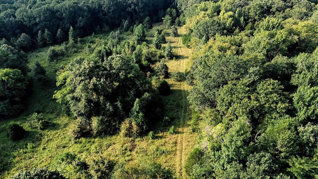 496 County Road 496 Lindale, TX 75706 - Photo 11 of 12