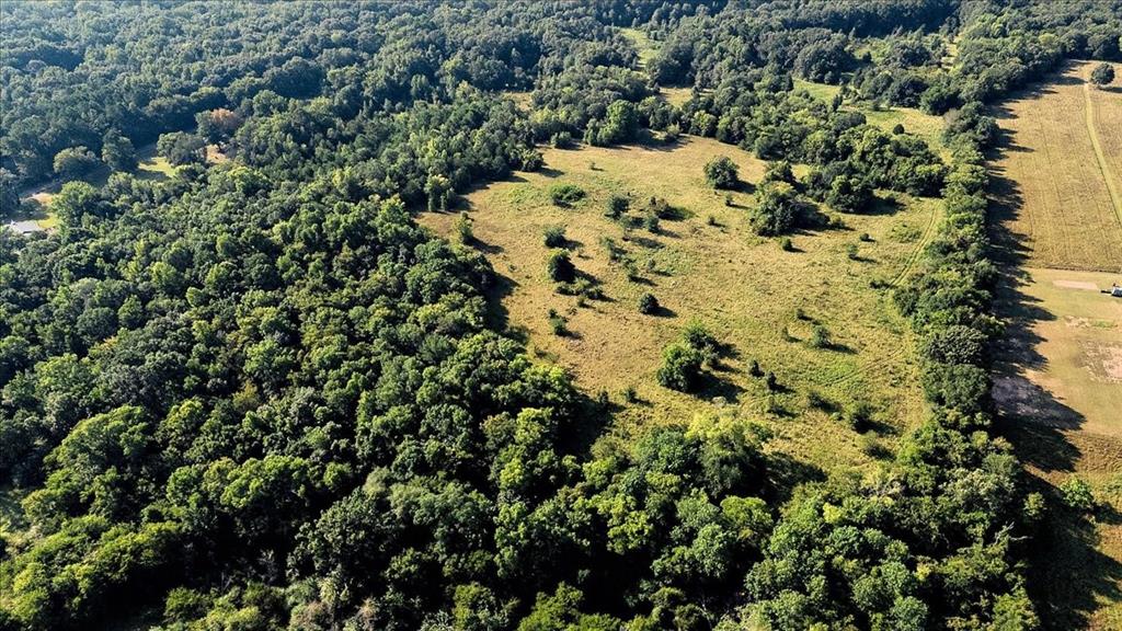 496 County Road 496 Lindale, TX 75706 - Photo 3 of 12