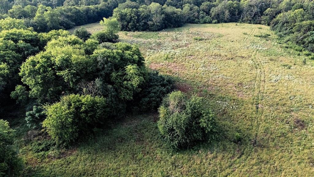 496 County Road 496 Lindale, TX 75706 - Photo 5 of 12