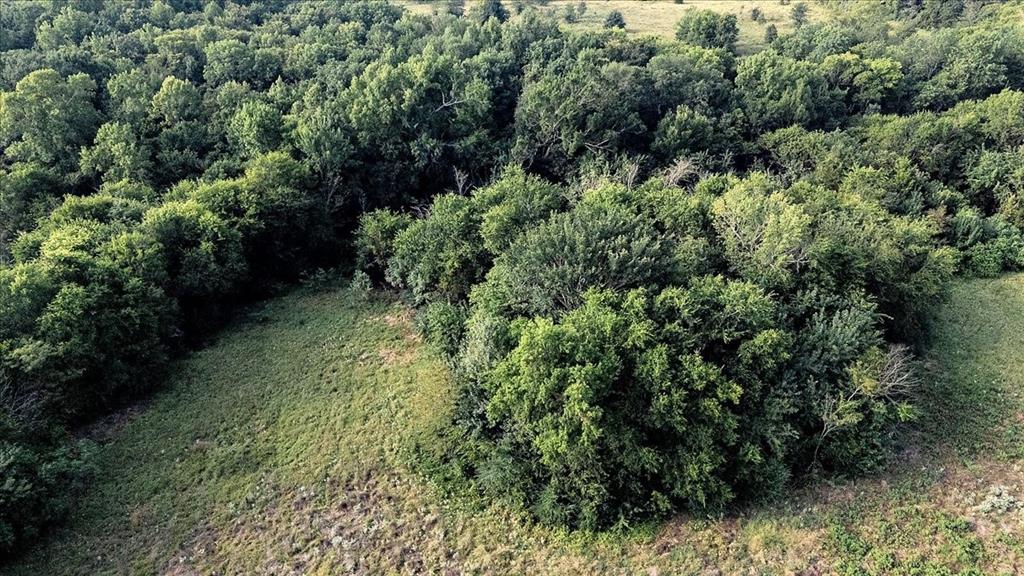 496 County Road 496 Lindale, TX 75706 - Photo 7 of 12