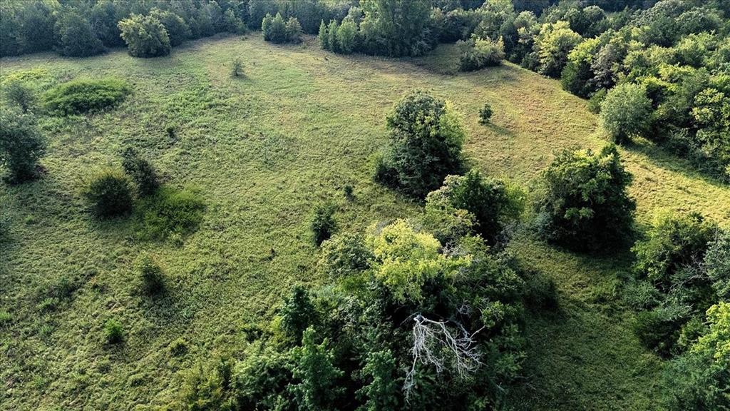 496 County Road 496 Lindale, TX 75706 - Photo 8 of 12